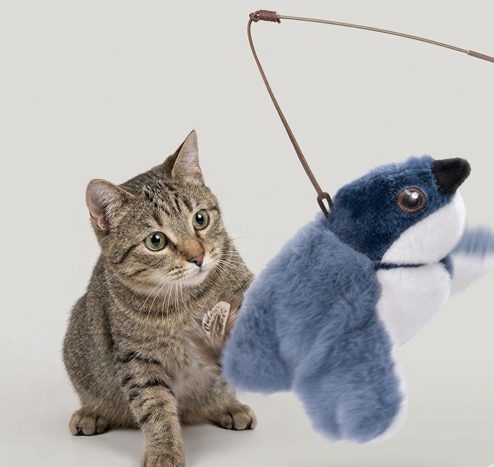 Flapping Bird Cat  Toy